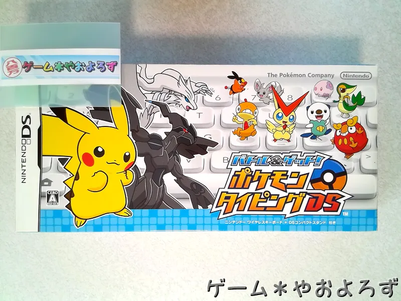 『ポケモンタイピングDS』の所有画像