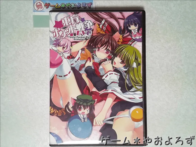 『東方ポケット戦争EVO』の所有画像